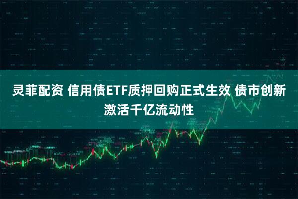 灵菲配资 信用债ETF质押回购正式生效 债市创新激活千亿流动性