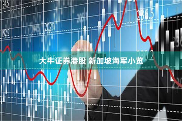 大牛证券港股 新加坡海军小览