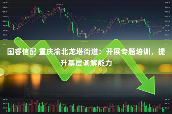 国睿信配 重庆渝北龙塔街道：开展专题培训，提升基层调解能力